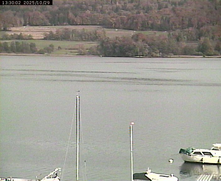 Beinwil am See: Hallwilersee Ost 2