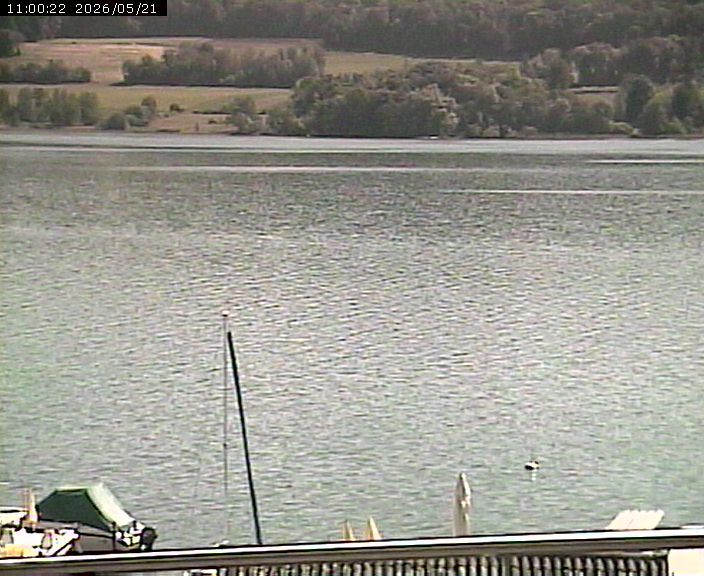 Beinwil am See: Hallwilersee Ost 2