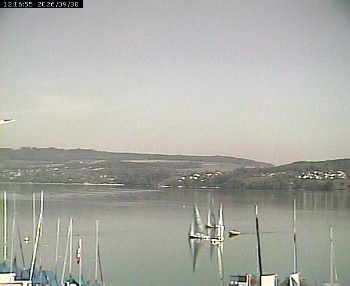 Beinwil am See › Osten: Segelclub Hallwil - Lake Hallwil