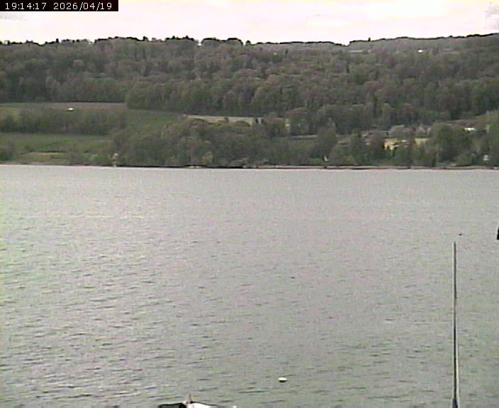 Beinwil am See: Hallwilersee Ost 2