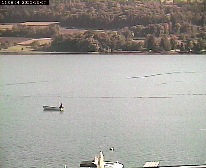 Beinwil am See: Hallwilersee Ost 2