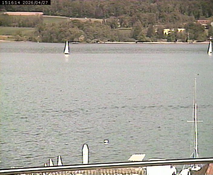 Beinwil am See: Hallwilersee Ost 2