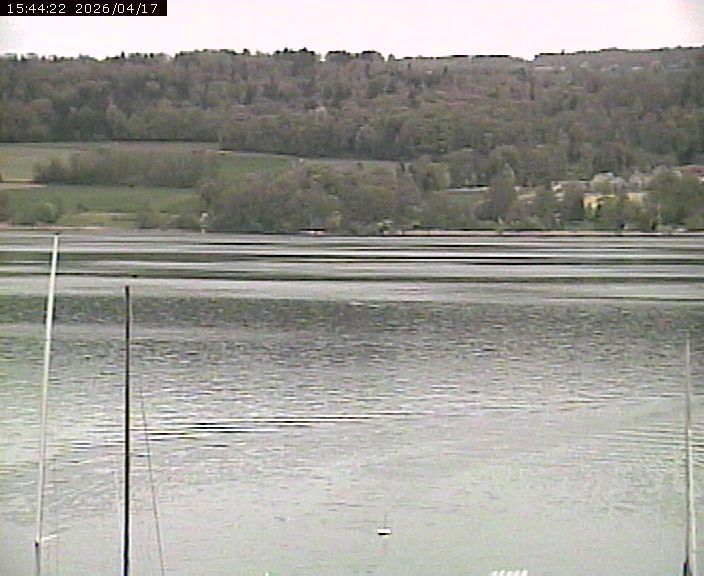 Beinwil am See: Hallwilersee Ost 2
