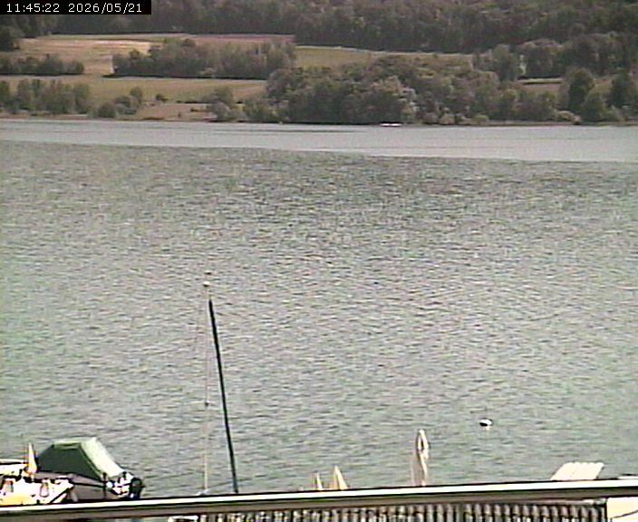 Beinwil am See: Hallwilersee Ost 2