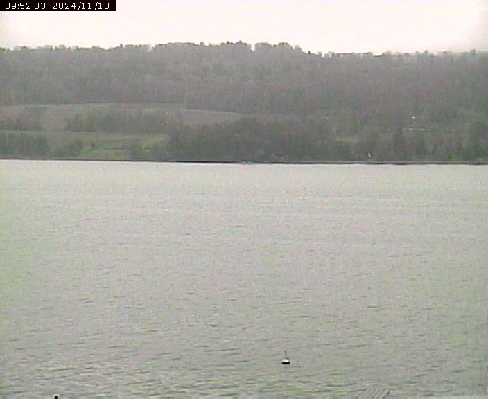 Beinwil am See: Hallwilersee Ost 2