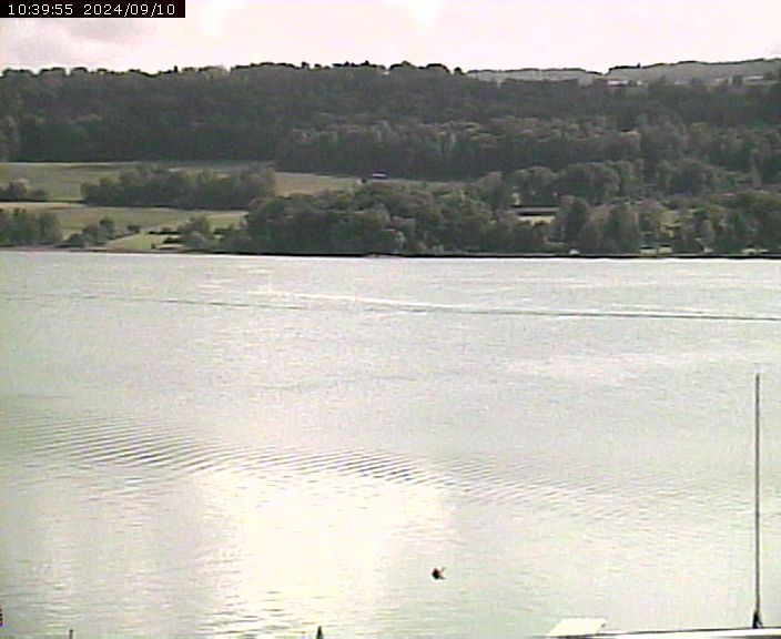 Beinwil am See: Hallwilersee Ost 2