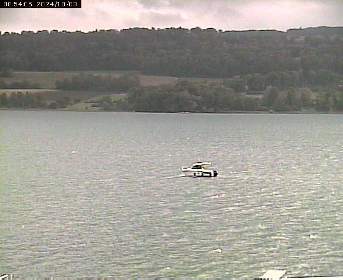 Beinwil am See: Hallwilersee Ost 2