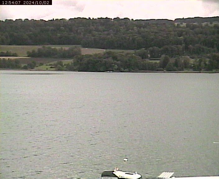 Beinwil am See: Hallwilersee Ost 2