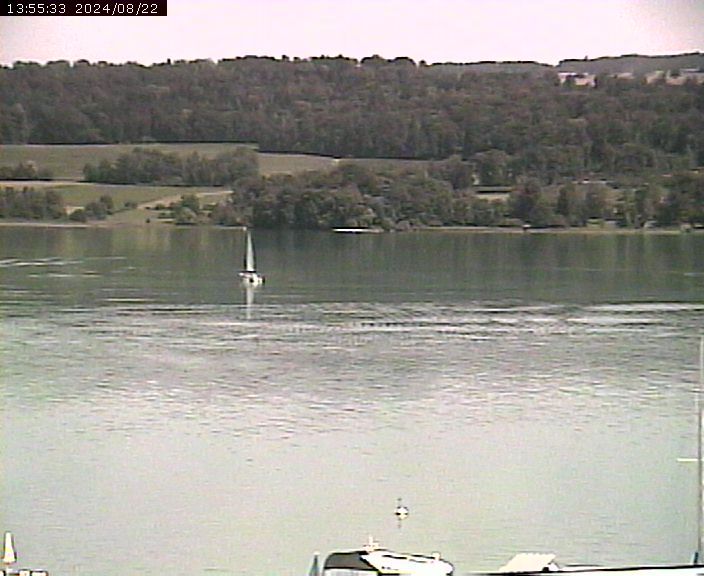 Beinwil am See: Hallwilersee Ost 2