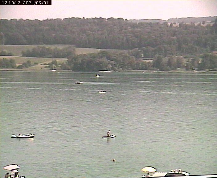 Beinwil am See: Hallwilersee Ost 2