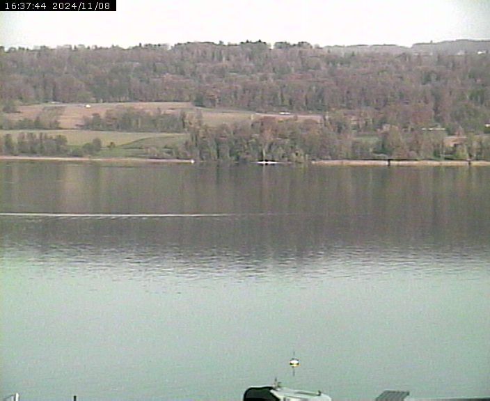 Beinwil am See: Hallwilersee Ost 2