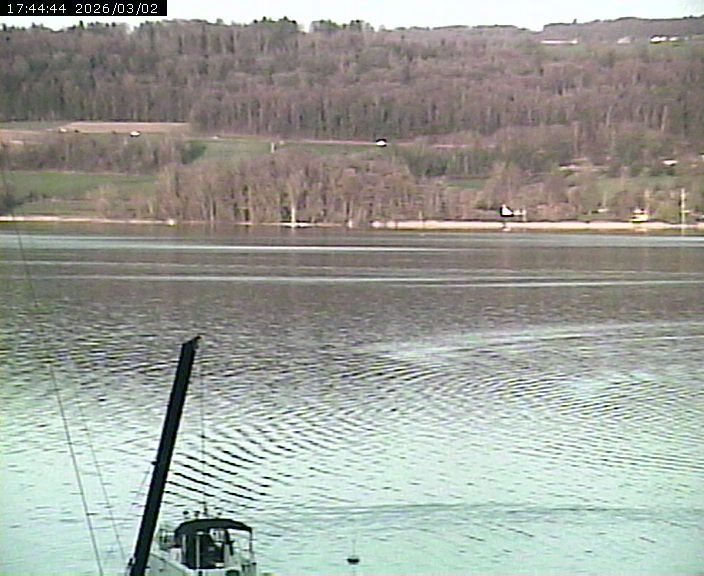 Beinwil am See: Hallwilersee Ost 2