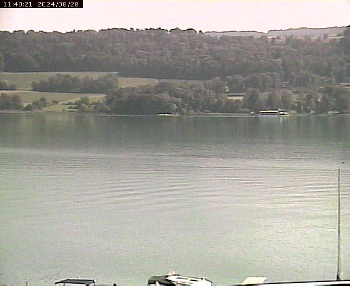 Beinwil am See: Hallwilersee Ost 2