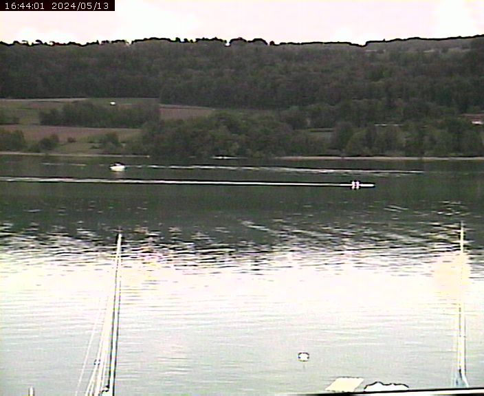 Beinwil am See: Hallwilersee Ost 2