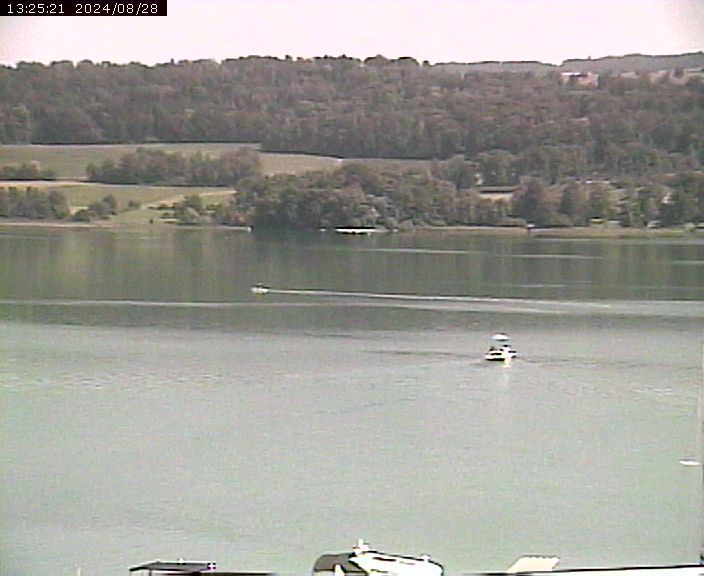 Beinwil am See: Hallwilersee Ost 2