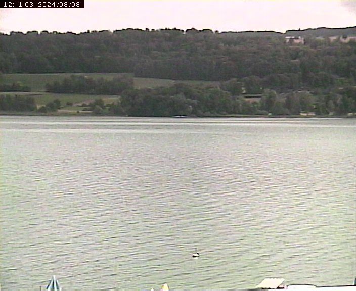 Beinwil am See: Hallwilersee Ost 2