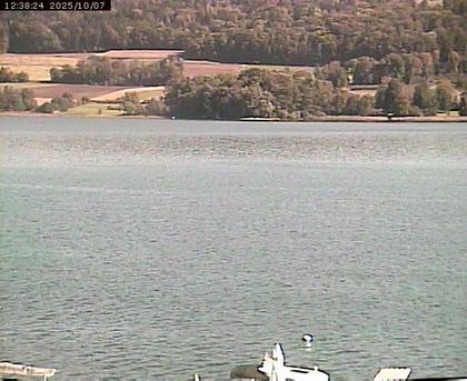 Beinwil am See: Hallwilersee Ost 2
