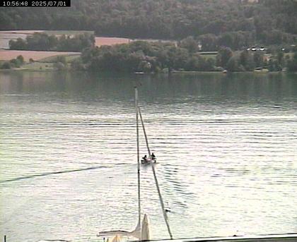 Beinwil am See: Hallwilersee Ost 2