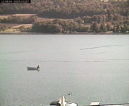 Beinwil am See: Hallwilersee Ost 2