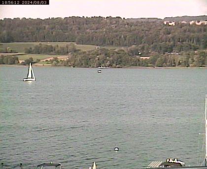 Beinwil am See: Hallwilersee Ost 2