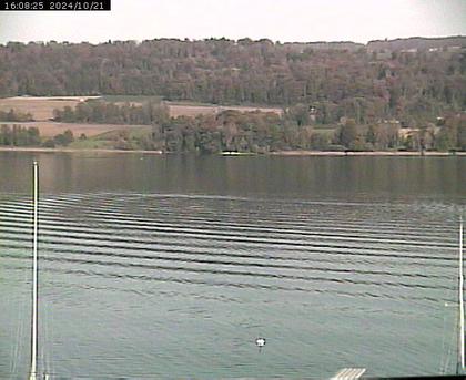 Beinwil am See: Hallwilersee Ost 2