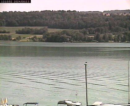 Beinwil am See: Hallwilersee Ost 2