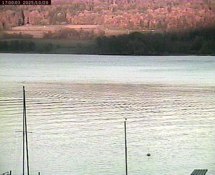 Beinwil am See: Hallwilersee Ost 2