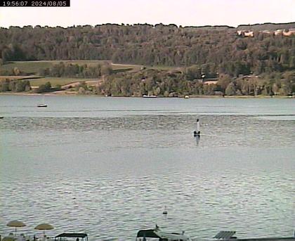 Beinwil am See: Hallwilersee Ost 2