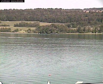 Beinwil am See: Hallwilersee Ost 2