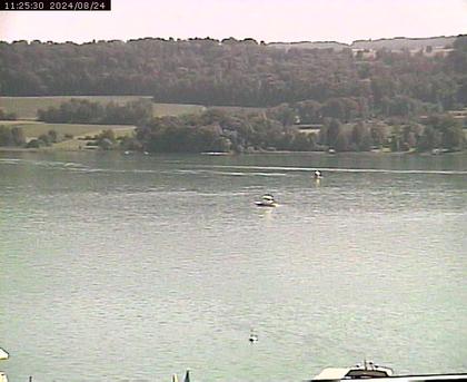 Beinwil am See: Hallwilersee Ost 2