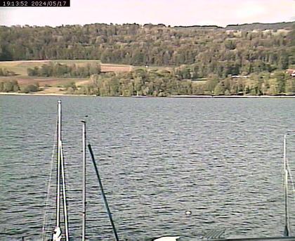 Beinwil am See: Hallwilersee Ost 2