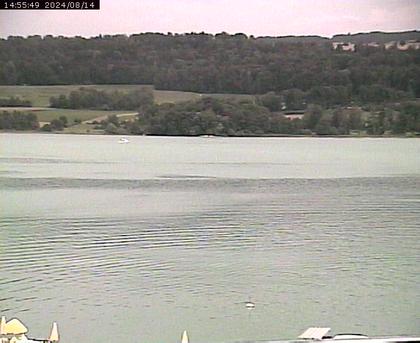 Beinwil am See: Hallwilersee Ost 2