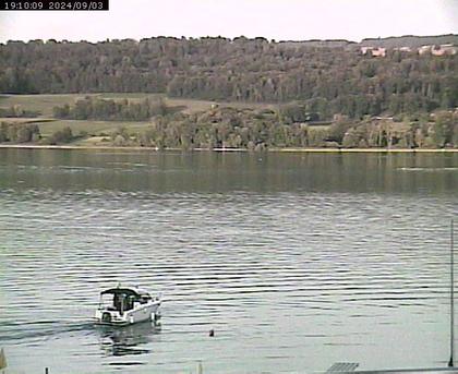 Beinwil am See: Hallwilersee Ost 2