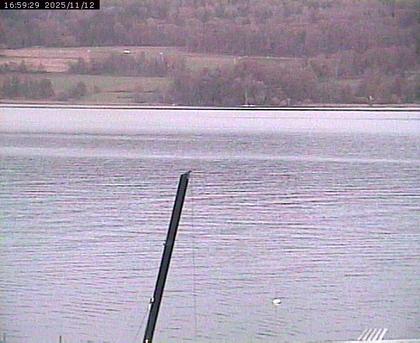 Beinwil am See: Hallwilersee Ost 2