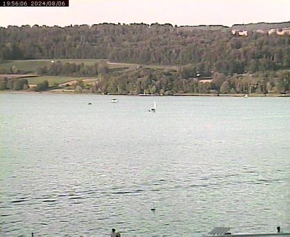 Beinwil am See: Hallwilersee Ost 2