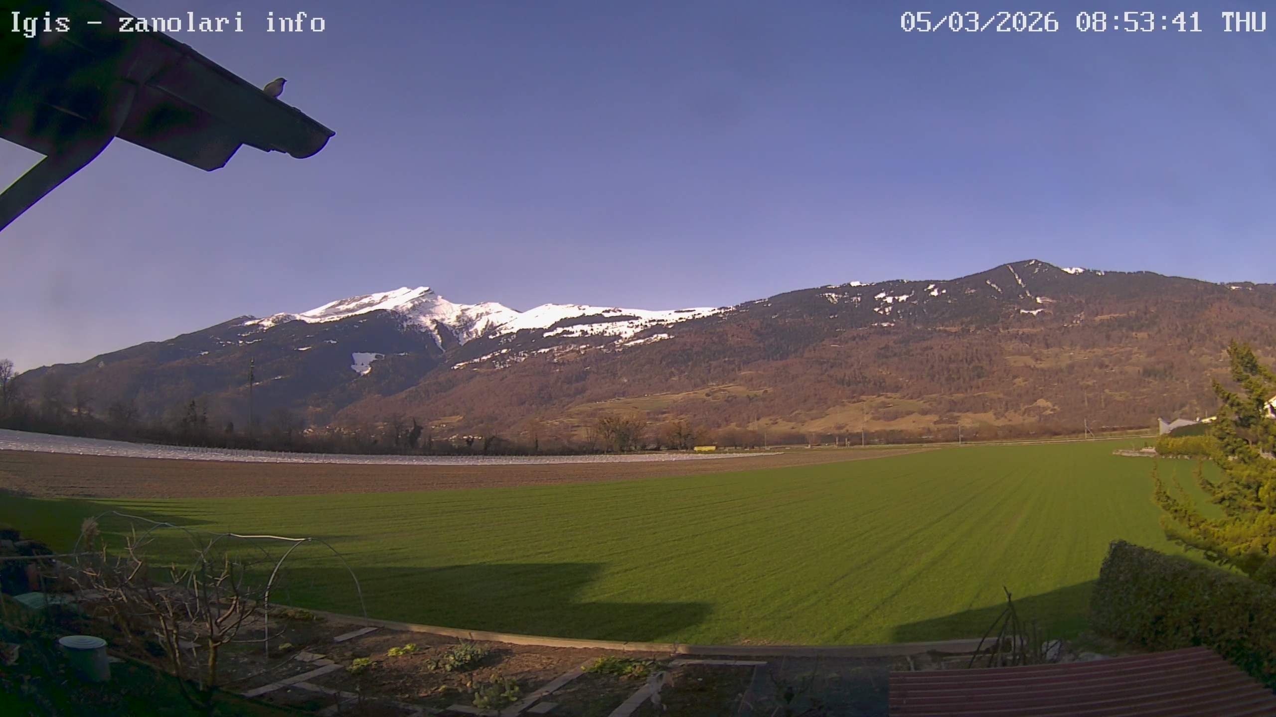 Landquart: Chimmispitz - Haldensteiner Calanda - Calandahütte SAC - Calanda