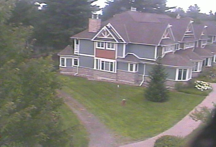 Traffic Cam Lake of Bays Township: The Landscapes