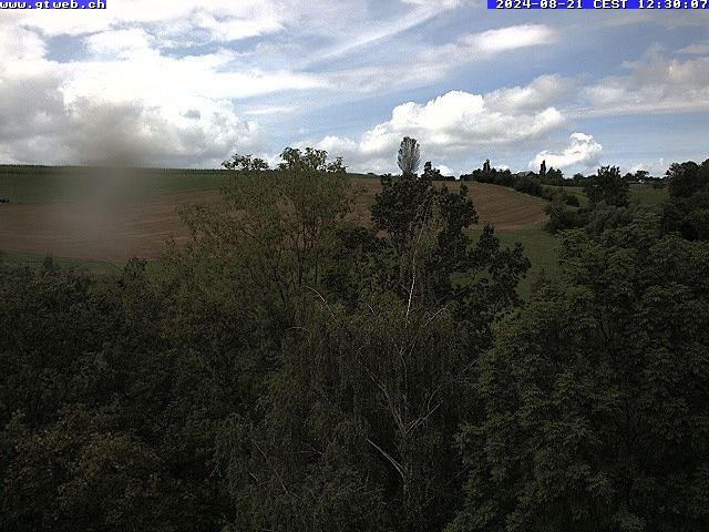 Häfelfingen: Blickrichtung Hof Horn, Buckten, Rümlingen