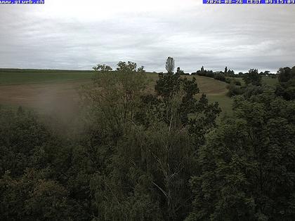 Häfelfingen: Blickrichtung Hof Horn, Buckten, Rümlingen