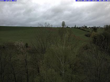 Häfelfingen: Blickrichtung Hof Horn, Buckten, Rümlingen