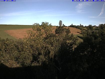 Häfelfingen: Blickrichtung Hof Horn, Buckten, Rümlingen