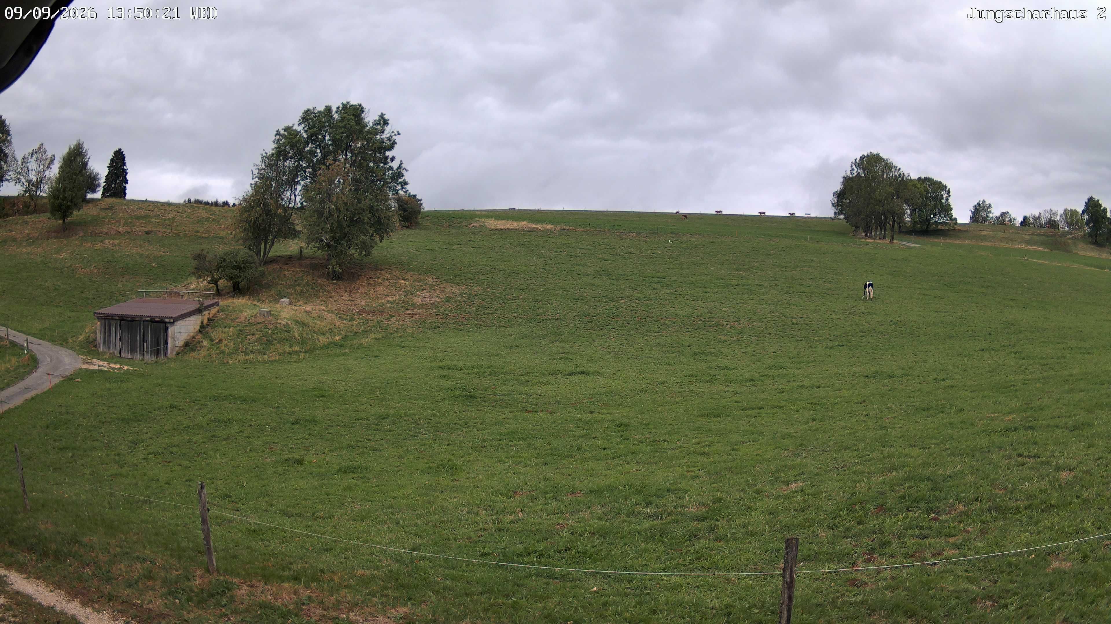 Aedermannsdorf › Nordwesten: Brunnersbergstrasse