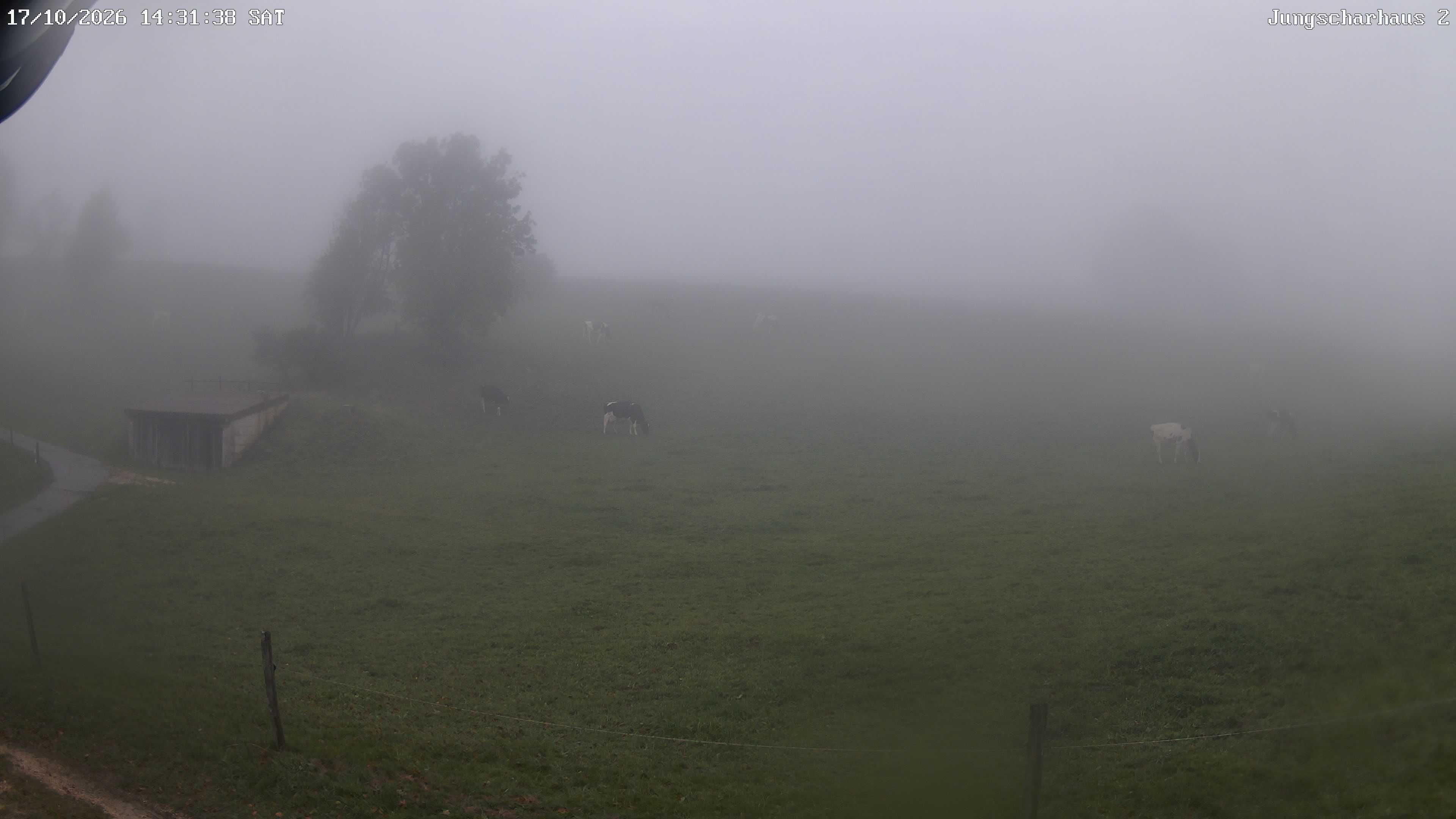 Aedermannsdorf › Nordwesten: Brunnersbergstrasse