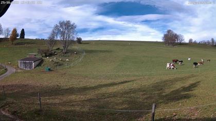 Aedermannsdorf: Gross Brunnersberg