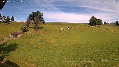 Aedermannsdorf: Gross Brunnersberg