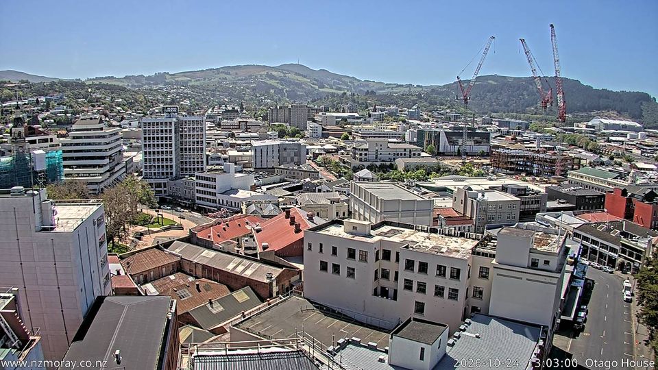Dunedin webcam