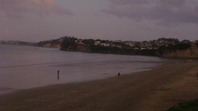 Hibiscus and Bays › East: Orewa