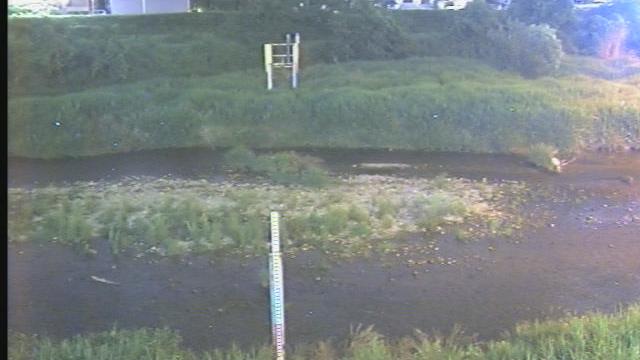 Tama River Tranquility: Hachiojis Escape Webcam