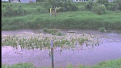 Hachioji: Tama River