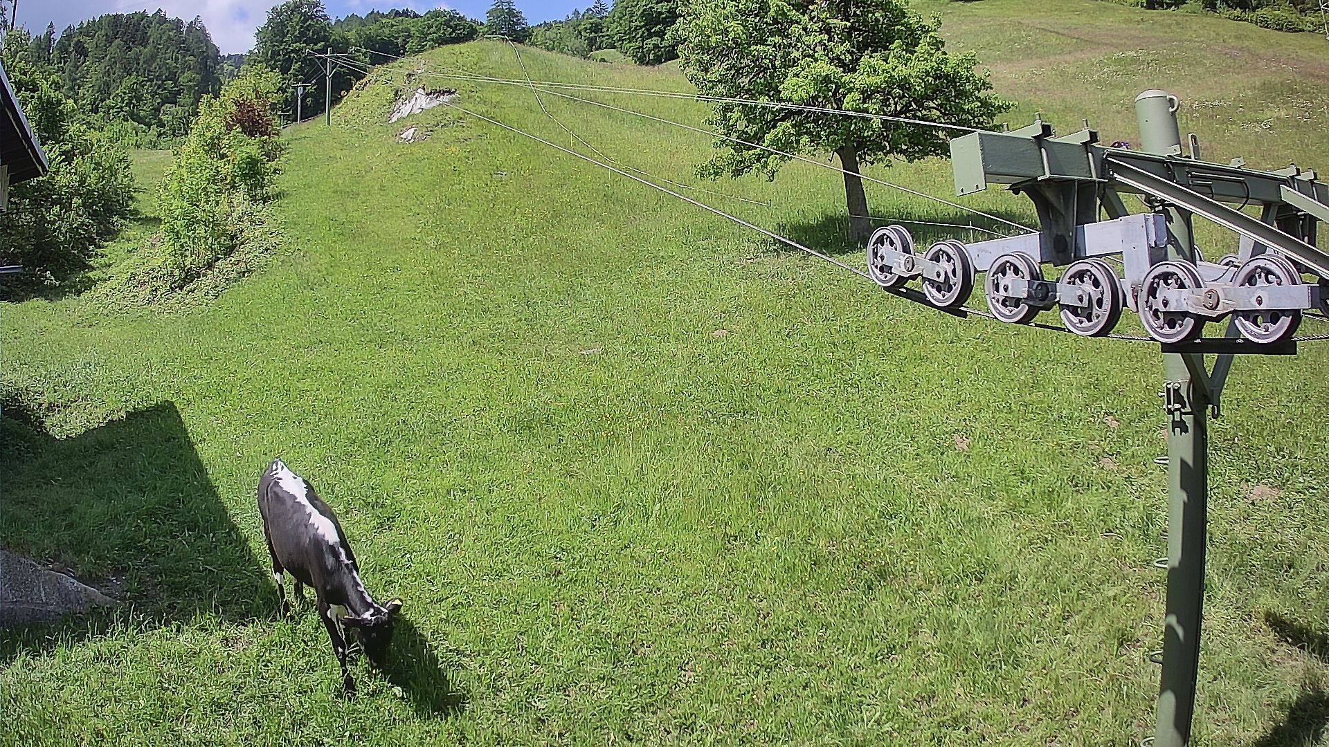 Landquart › Südwesten: Skilift Mastrils